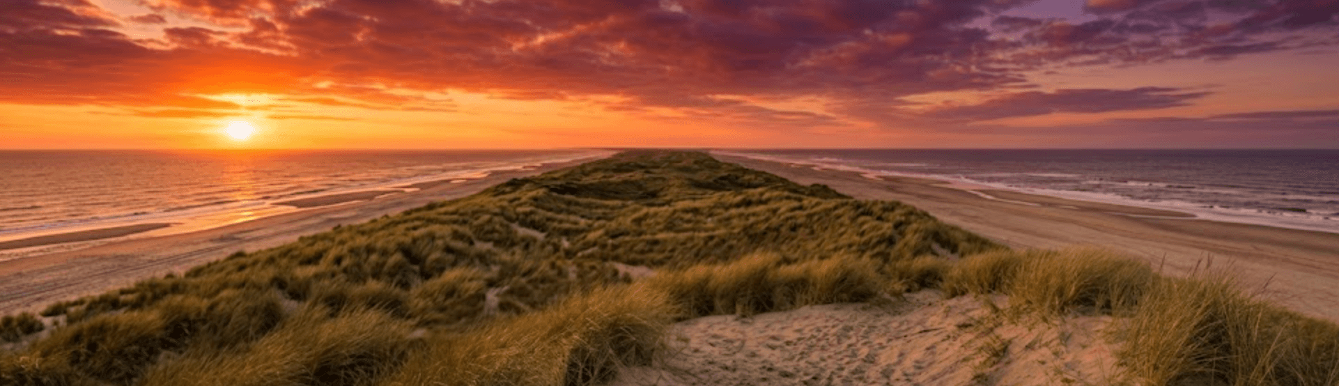Panoramisch uitzicht over de Nederlandse duinen bij zonsondergang